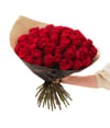 Red roses 60 242687