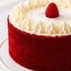 Buy Red Velvet Harmony Cake (500 g)