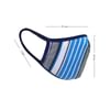 Reversible Cotton Face Mask - Flat Dust Masks - Blue And White Online