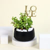 Gift Romantic Jade Plant with Love Tag