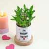 Buy Romantic Personalized Pot with Bamboo Plant