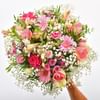 Rosalie Online