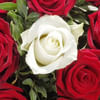 Gift Rose Bouquet Amore With Vase & 2 Ferrero Rocher