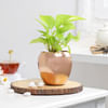 Gift Rose Gold Good Luck Pot