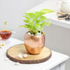 Buy Rose Gold Good Luck Pot