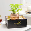 Shop Rose Gold Good Luck Pot