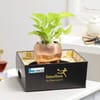 Rose Gold Good Luck Pot (IMCD INDIA PRIVATE LIMITED)