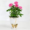 Gift Rose Radiance Charm