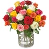 Roses Allure without vase