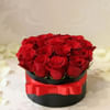 Roses in Black Box Online