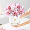 Buy Rosy Blush