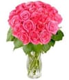 Rosy Reveries