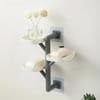 Gift Rotating Bathroom Soap Shelf - Assorted - Single Piece