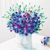 Gift Royal Elegance Orchid Arrangement