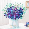 Buy Royal Elegance Orchid Arrangement