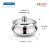 Gift Rudra Safari Double Walled Silver Stainless Steel Casserole 3 L