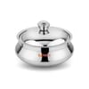 Rudra Safari Double Walled Silver Stainless Steel Casserole 3 L
