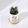 Shop Santa's Favourite - Haworthia Succulent With Pot