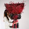 Scarlet's Embrace Online