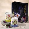 Shop Scented Candles Set 150gms - The First Rain & Gardenia Glow