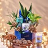 Season of Prosperity