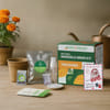 Secret Santa Marigold Magic Grow Kit