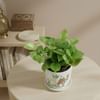 Shop Serene Fortune Money Plant With A Camel Planter