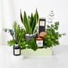 Gift Serene Green Luxe Hamper