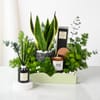 Buy Serene Green Luxe Hamper