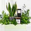 Shop Serene Green Luxe Hamper