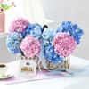 Serene Hydrangea Basket Online