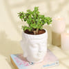 Gift Serene Jade Plant in a  Buddha Planter