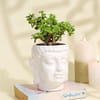 Buy Serene Jade Plant in a Buddha Planter