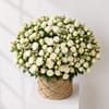 Buy Serene White Rose Basket