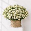 Serene White Rose Basket Online