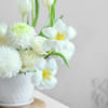 Buy Serene White Roses Arrangement