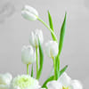 Shop Serene White Roses Arrangement
