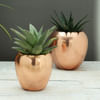 Shop Set of 2 Copper Finish Planters (Without Plants)