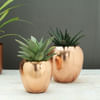 Set of 2 Copper Finish Planters (Without Plants) Online