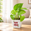 Shop Shubh Diwali Personalized Plant & Chocolates Combo