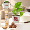 Shubh Diwali Personalized Plant & Chocolates Combo