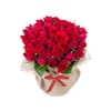 Signature Bouquet of 30 Red Roses