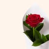 Gift Single Rose