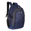 SKYBAGS FOX BUSINESS POLYESTER LAPOTOP BACKPACK Online
