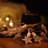 Buy Small Twinkle Star LED Lights - Wam White