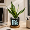 Buy Snake Plant with Clay Planter for Dad