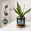 Shop Snake Plant with Clay Planter for Dad