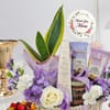 Shop Snake Suberba Plant and Dry Fruits Mother's Day Hamper