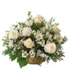 Snow White Arrangement
