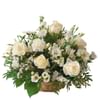 Snow White Arrangement Online